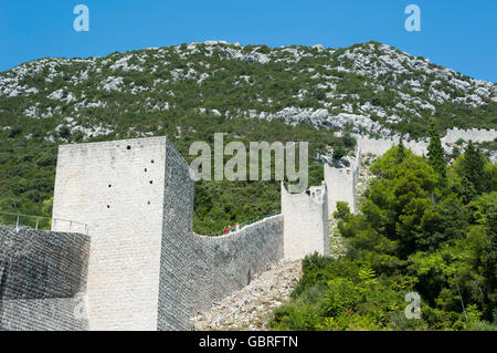 Mur de la ville, la péninsule de Peljesac, Ston, Dalmatie, Croatie Banque D'Images