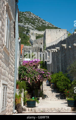 Mur de la ville, la péninsule de Peljesac, Ston, Dalmatie, Croatie Banque D'Images