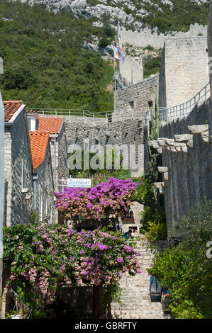 Mur de la ville, la péninsule de Peljesac, Ston, Dalmatie, Croatie Banque D'Images