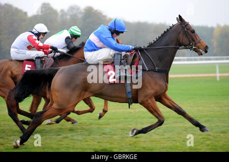 Courses hippiques - Welfare Raceday - Haydock Park.Paul Moloney sur Cedrus libani sur son chemin pour gagner l'obstacle de bien-être de course handicap Banque D'Images