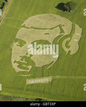 Mike Skinner crop circle Banque D'Images