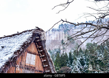 Shirakawa-go Village en hiver Banque D'Images