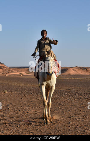 L'Afrique, Soudan, Nubie, nomad avec le dromadaire, des pyramides de Méroé en arrière-plan Banque D'Images