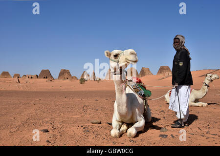 L'Afrique, Soudan, Nubie, nomad avec le dromadaire, des pyramides de Méroé en arrière-plan Banque D'Images