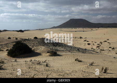 L'Sanddunes de Corralejo, au nord de l'Île Fuerteventura sur l'île des Canaries de l'Espagne dans l'océan Atlantique. Banque D'Images