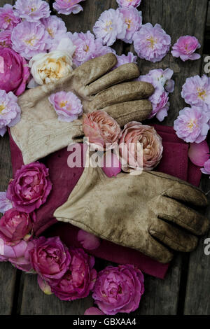 Des gants de jardinage et de chefs rose Banque D'Images