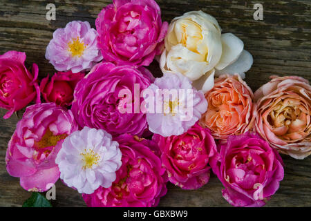 Bouquet de roses Banque D'Images