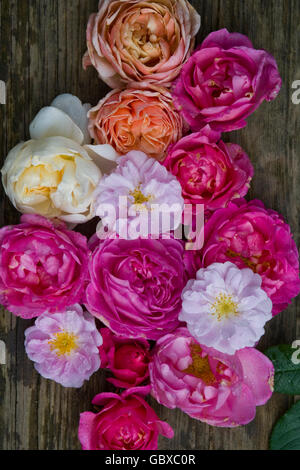 bouquet de roses Banque D'Images