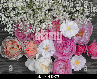 Mélange de roses et de fleurs de sureau Banque D'Images