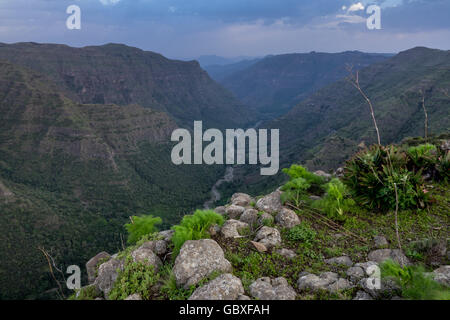 Sur un canyon dans les montagnes du Simien en Ethiopie Banque D'Images