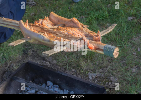 Ponassing un poisson (saumon) comme une métaphore visuelle pour la survie de l'alimentation et la cuisine en plein air. Banque D'Images