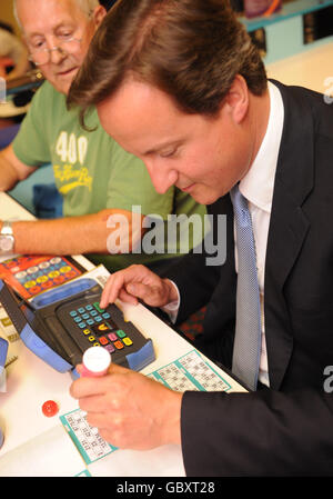 Le chef du parti conservateur David Cameron joue du bingo à Norwich, où il faisait campagne pour l'élection partielle de Norwich North. Banque D'Images