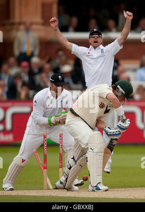 Paul Collingwood, en Angleterre, et Matt Prior, le gardien de cricket, célèbrent le match Marcus North de Graeme Swann, en Australie, au cours du quatrième jour du deuxième match du npower Test à Lord's, Londres. Banque D'Images