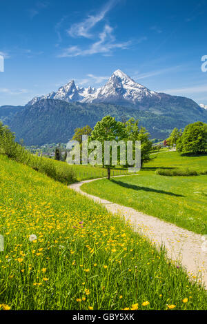 Paysage idyllique dans les Alpes avec frais vert pâturages de montagne et les sommets des montagnes enneigées en arrière-plan en été Banque D'Images
