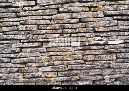 Dh Cleeve Hill COTSWOLDS GLOUCESTERSHIRE Belas Knapp Stone Age long barrow chambre funéraire modèle pierre Banque D'Images