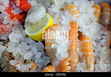 Crevettes cuites avec du citron dans les glaces de pose Banque D'Images