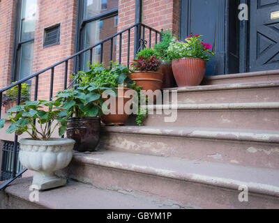 Affichage d'attrayants les pots de fleurs placés sur chaque étape d'une brique d'habitation à Brooklyn Heights, New York Banque D'Images