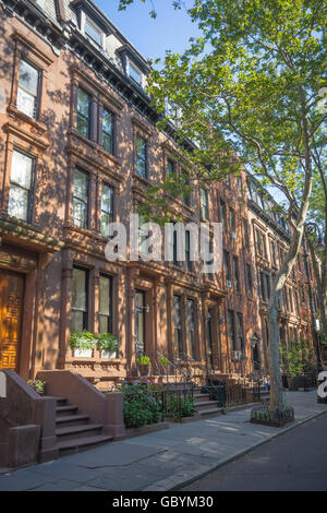 Brownstone belle maison ombragée par des arbres dans quartier résidentiel riche à Brooklyn Heights, New York Banque D'Images