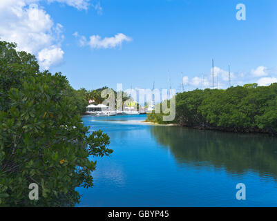 Dh TORTOLA CARAÏBES Sopers hole tortola caraïbes yacht marina mangrove d'admission Banque D'Images