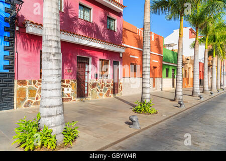 Maisons colorées et de palmiers sur rue dans la ville de Puerto de la Cruz, Tenerife, Canaries, Espagne Banque D'Images