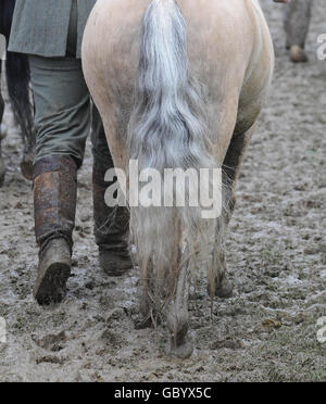 Royal Welsh Show Banque D'Images