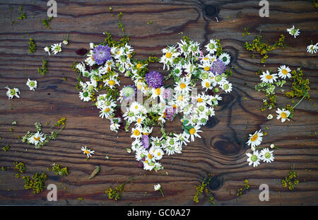 Symbole du cœur faite de fleurs sauvages et de feuilles sur fond de table en bois vintage. Vue d'en haut. Banque D'Images