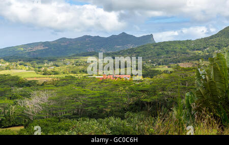 Avis sur l'usine de Rhum Chamarel avec Maurice Plaine Champagne. Banque D'Images