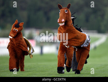 Les courses de chevaux - Comedy Night - Sandown Park Banque D'Images