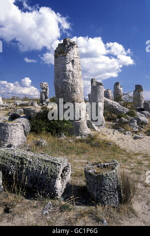 La forêt de pierre près de la ville de Varna sur le Blacksea en Bulgarie en Europe de l'Est. Banque D'Images