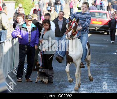 Auld Lamas Fair Banque D'Images