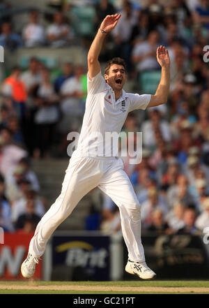 Cricket - les cendres 2009 - npower Cinquième Test - troisième jour - Angleterre / Australie - The Brit Oval. James Anderson, en Angleterre, appelle à un match de cricket Banque D'Images