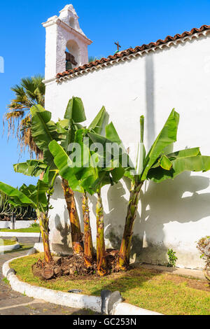 Église blanche avec des bananiers tropicaux à Puerto de la Cruz, Tenerife, Canaries, Espagne Banque D'Images