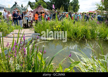 Une foule entourant les terres humides de jardin à l'Hampton Court Palace Flower Show 2016, East Molesley, Surrey, UK Banque D'Images