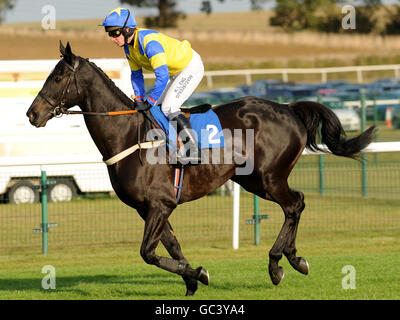 Courses hippiques - Hippodrome de Huntingdon.Le jockey Colin Bolger sur le Maître Darcey va à l'affichage dans le Spreadex - Sports et financiers propagation handicap de pari Banque D'Images