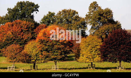 Temps d'automne. Une scène automnale au parc Wollaton de Nottingham. Banque D'Images