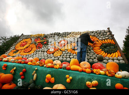 Sutton festival de la citrouille Banque D'Images