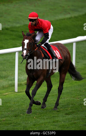 Courses hippiques - le Trophée de la poste de course - première journée - Hippodrome de Doncaster.Jockey Saleem Golam sur Aldermoor après l'Auker Rhodes Blue Parrot handicap Banque D'Images