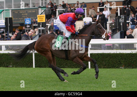 Les courses de chevaux - hiver chaud - Uttoxeter Racecourse Banque D'Images