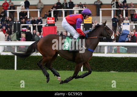 Les courses de chevaux - hiver chaud - Uttoxeter Racecourse Banque D'Images