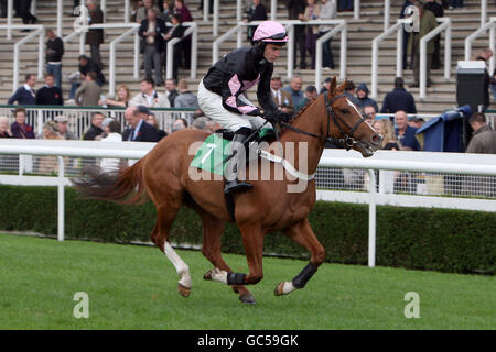 Les courses de chevaux - hiver chaud - Uttoxeter Racecourse Banque D'Images