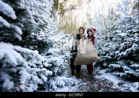 Alice Pashley (à gauche) et Tamsyn Sear, de caractère comme les elfes du Père Noël, portent un sac de cadeaux à travers des arbres couverts de neige artificielle comme les touches finales sont mises à Laponie Royaume-Uni, près de Tunbridge Wells, Kent, une production théâtrale qui s'efforce de recréer la patrie arctique du Père Noël. Banque D'Images