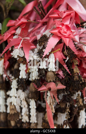 Rouge rosé et blanc décoration d'arbre de rubans sur un arbre sacré en Thaïlande bouddhiste Banque D'Images