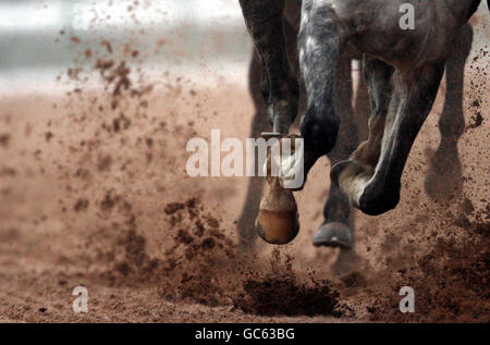 Courses hippiques - Hippodrome de Southwell.Les chevaux se trouvent au premier coin de la rue de l'Hospitality at Southwell racecourse handicap Stakes Banque D'Images