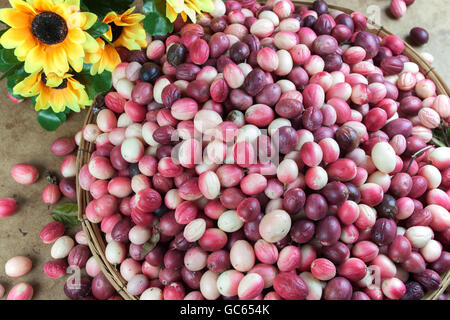 Fruit Karonda Carunda ou dans le panier sur la table. Ornée de tournesols artificiels. Banque D'Images