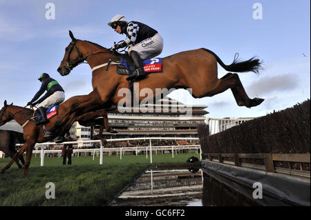 Red Admiral (au centre), monté par Noel Fehily pendant le Steeple Chase des Fuller's London Pride novices, lors du Festival d'hiver à l'hippodrome de Newbury, Berkshire. APPUYEZ SUR PHOTO D'ASSOCIATION. Date de la photo : vendredi 26 novembre 2009. Voir PA Story RACING Newbury. Crédit photo devrait se lire: Rebecca Naden/PA Wire. Banque D'Images