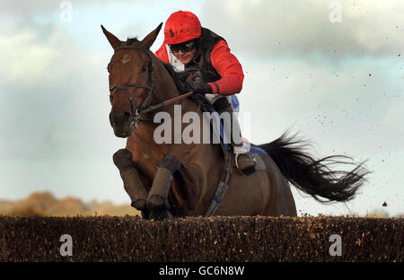 Nomecheki, monté par Liam Treadwell, remporte le concours des partenaires du BGC, Helmand handicap Steeple Chase, à l'hippodrome de Plumpton. Banque D'Images