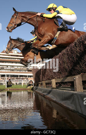 Les courses de chevaux - Le Festival d'hiver - Newbury Banque D'Images