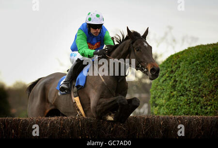 Seven is My Number, criblé par Timmy Murphy, remporte le concours betinternet.com future Starts Steeple Chase pendant le vendredi de Tingle Creek à l'hippodrome de Sandown. Banque D'Images