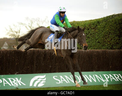 Seven is My Number, criblé par Timmy Murphy, remporte le concours betinternet.com future Starts Steeple Chase pendant le vendredi de Tingle Creek à l'hippodrome de Sandown. Banque D'Images