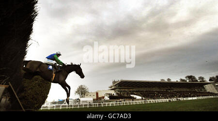 Les courses de chevaux - Tingle Creek vendredi - Sandown Park Banque D'Images